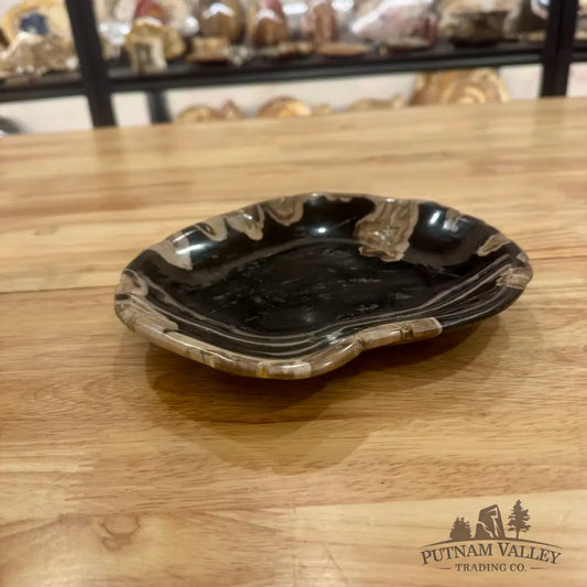 Reserve Indonesian Petrified Wood Plate Bowl