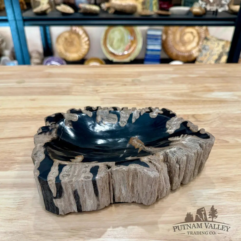 Reserve Indonesian Petrified Wood Rustic Bowl - Bowl