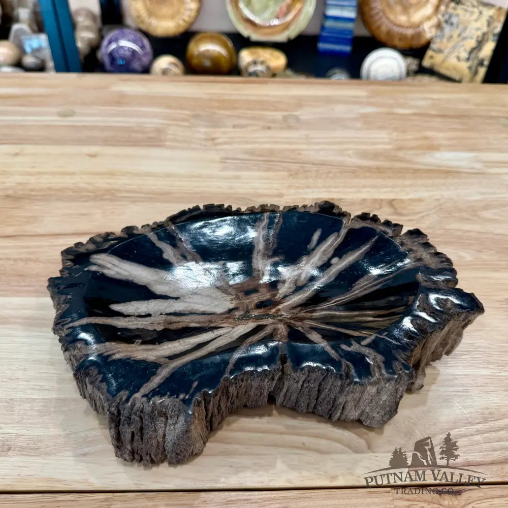 Reserve Indonesian Petrified Wood Rustic Bowl - Bowl