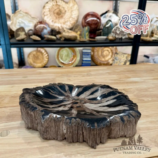Reserve Indonesian Petrified Wood Rustic Bowl - Bowl