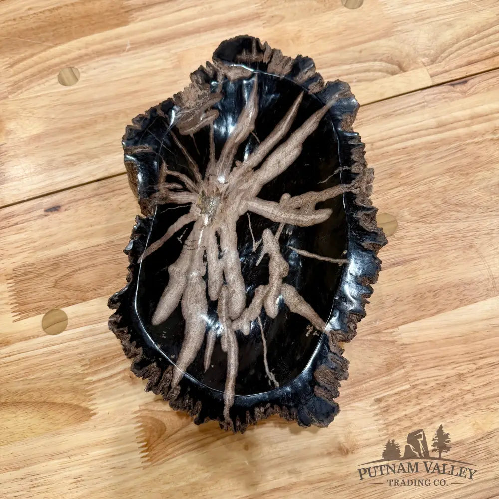 Reserve Indonesian Petrified Wood Rustic Bowl Bowl