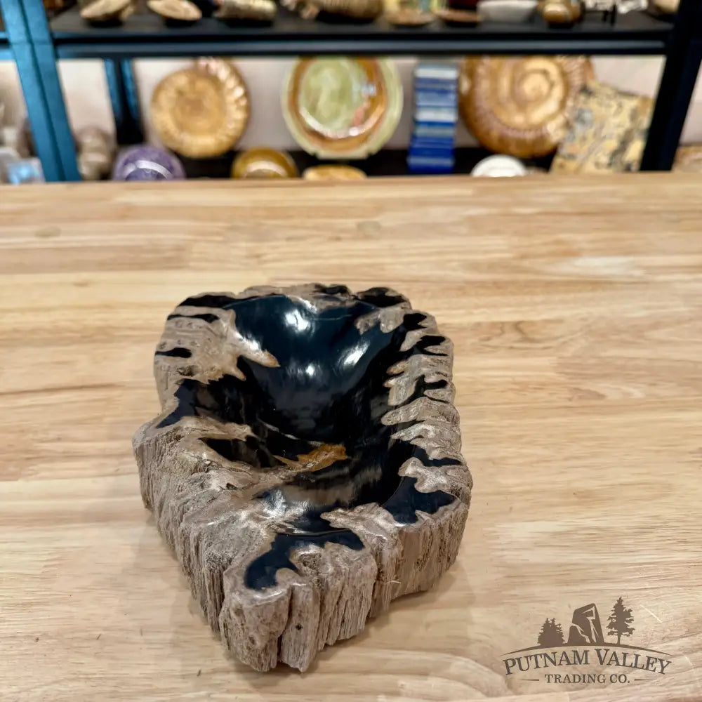 Reserve Indonesian Petrified Wood Rustic Bowl - Bowl