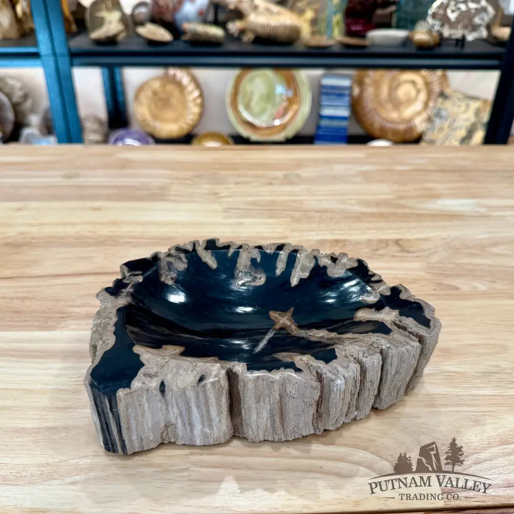 Reserve Indonesian Petrified Wood Rustic Bowl - Bowl