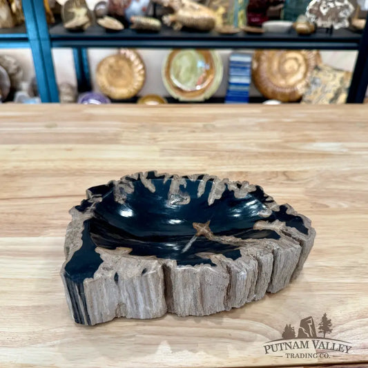 Reserve Indonesian Petrified Wood Rustic Bowl - Bowl