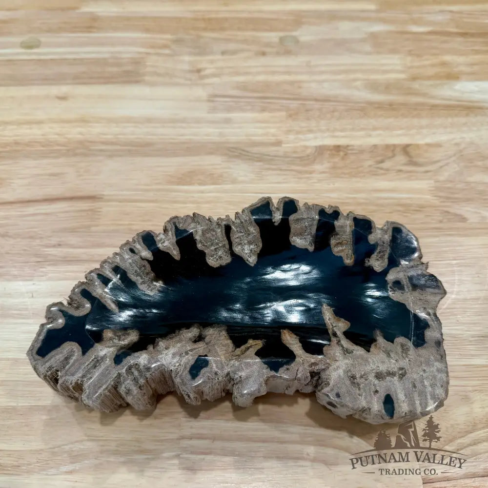 Reserve Indonesian Petrified Wood Rustic Bowl - Bowl