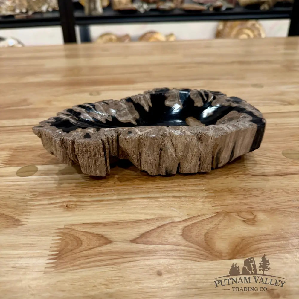 Reserve Indonesian Petrified Wood Rustic Bowl Bowl