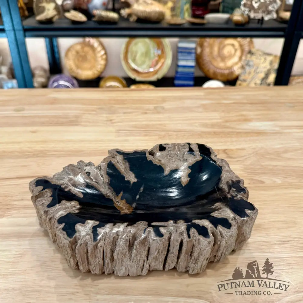Reserve Indonesian Petrified Wood Rustic Bowl - Bowl