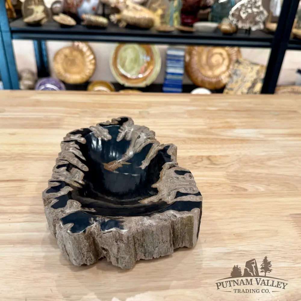 Reserve Indonesian Petrified Wood Rustic Bowl - Bowl