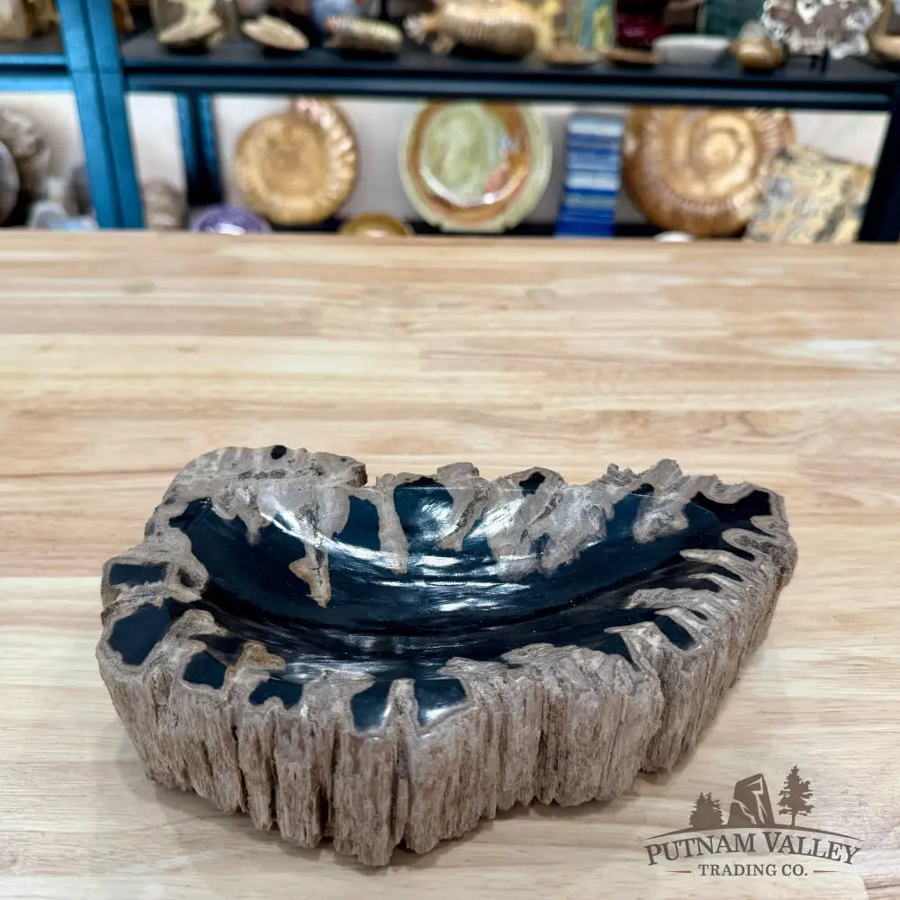 Reserve Indonesian Petrified Wood Rustic Bowl - Bowl