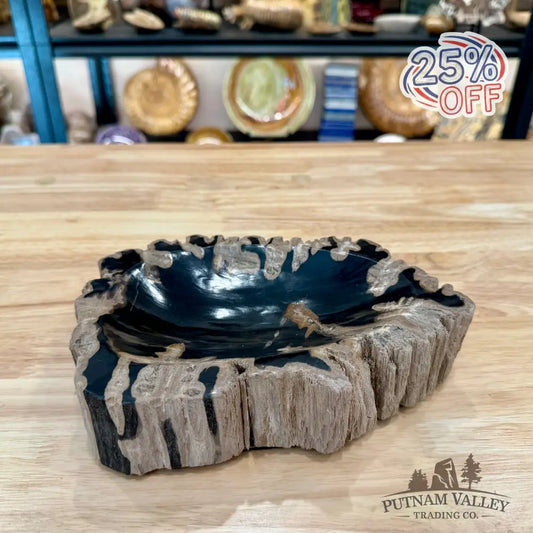 Reserve Indonesian Petrified Wood Rustic Bowl - Bowl