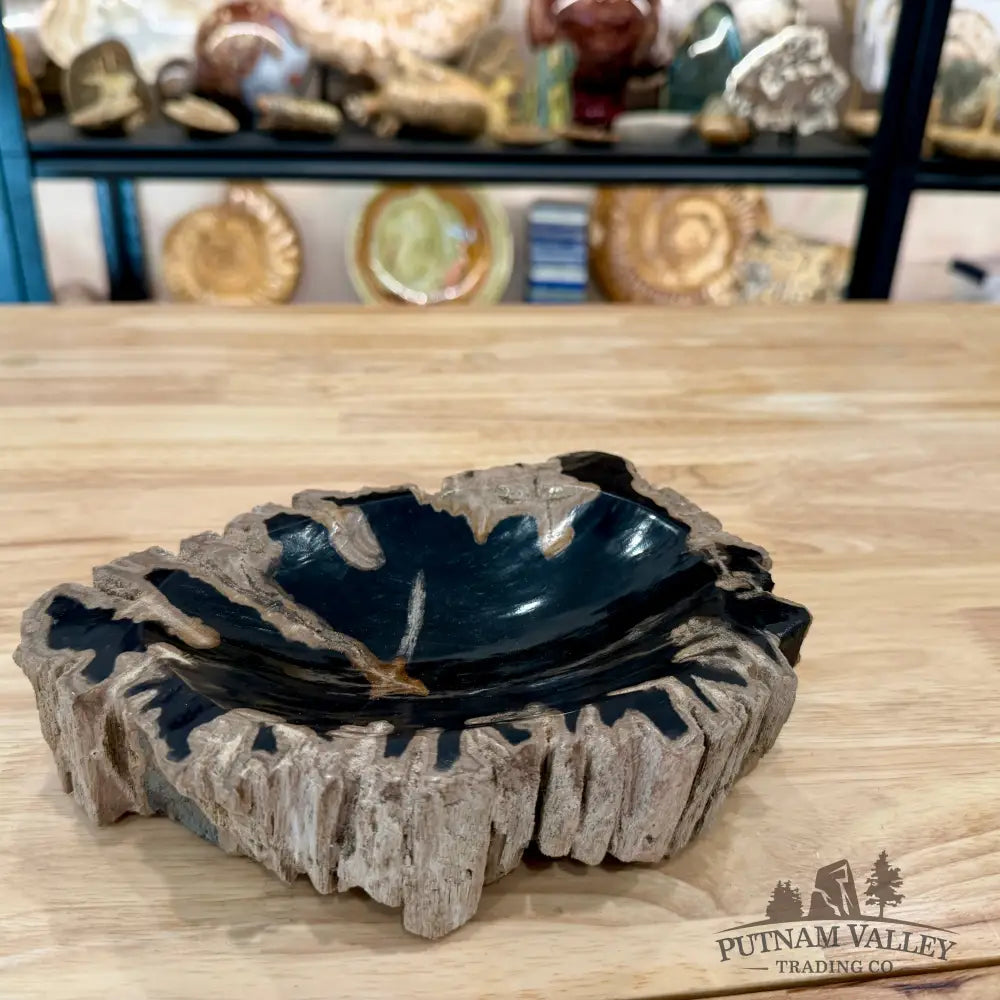 Reserve Indonesian Petrified Wood Rustic Bowl - Bowl