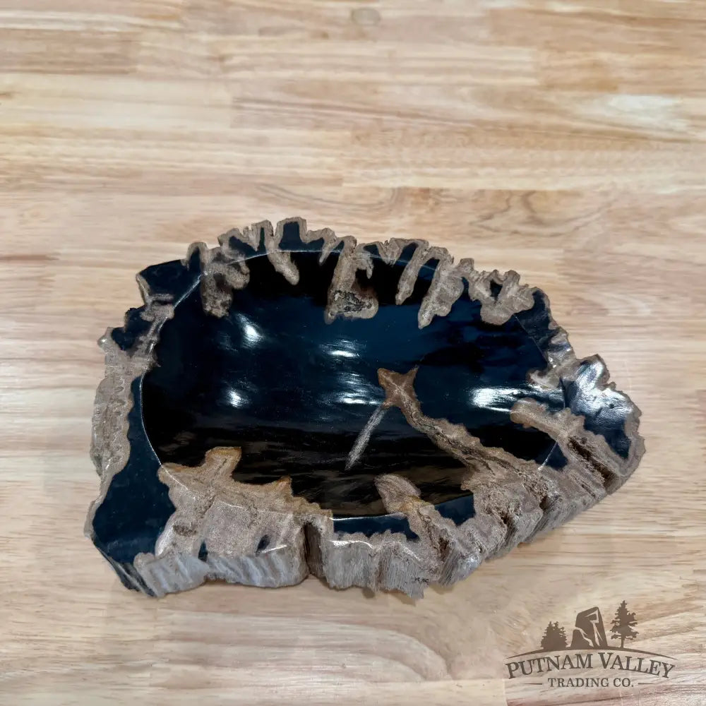 Reserve Indonesian Petrified Wood Rustic Bowl - Bowl