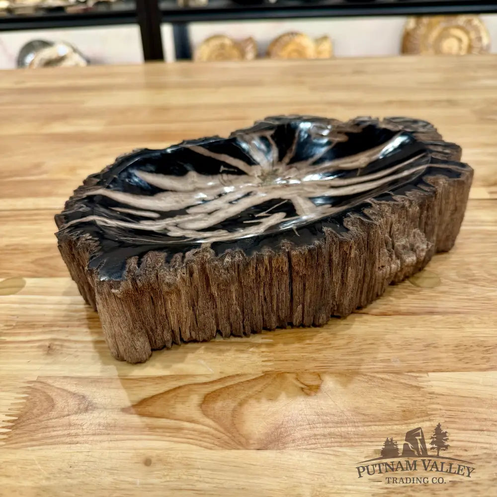 Reserve Indonesian Petrified Wood Rustic Bowl Bowl