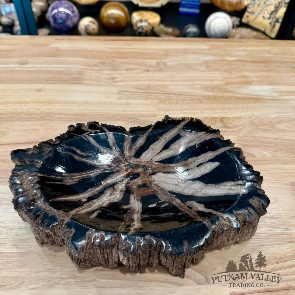 Reserve Indonesian Petrified Wood Rustic Bowl - Bowl