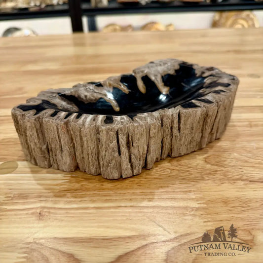 Reserve Indonesian Petrified Wood Rustic Bowl Bowl