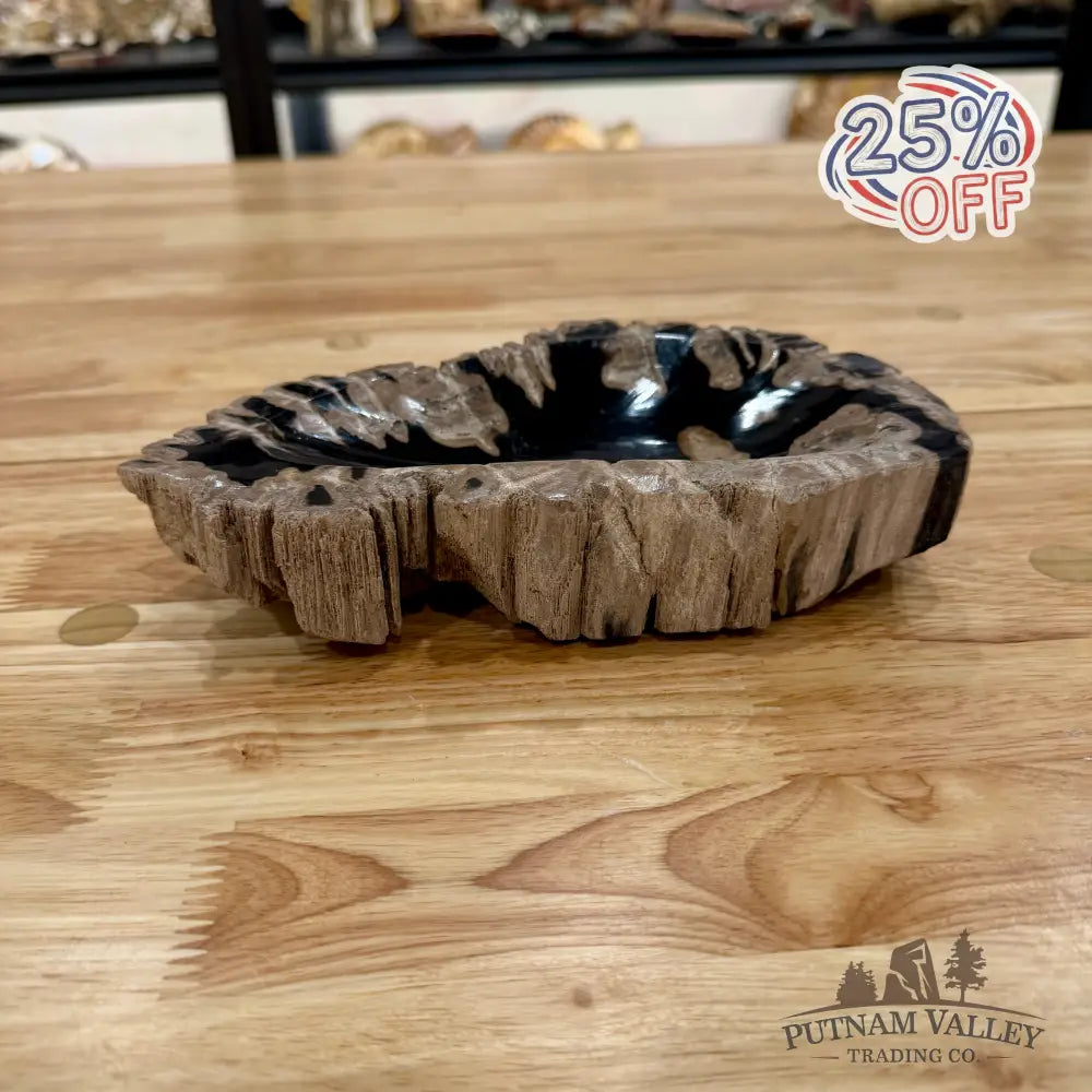Reserve Indonesian Petrified Wood Rustic Bowl Bowl