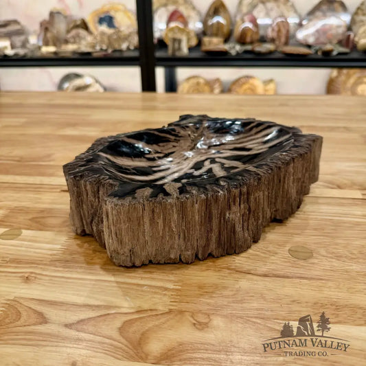 Reserve Indonesian Petrified Wood Rustic Bowl Bowl