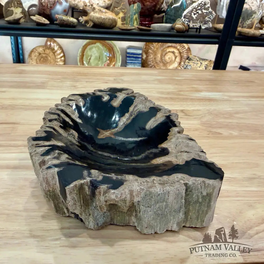 Reserve Indonesian Petrified Wood Rustic Bowl - Bowl