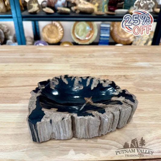 Reserve Indonesian Petrified Wood Rustic Bowl - Bowl