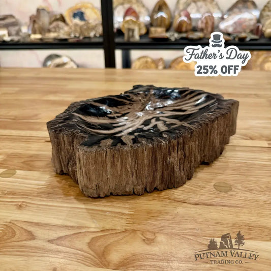 Reserve Indonesian Petrified Wood Rustic Bowl Bowl