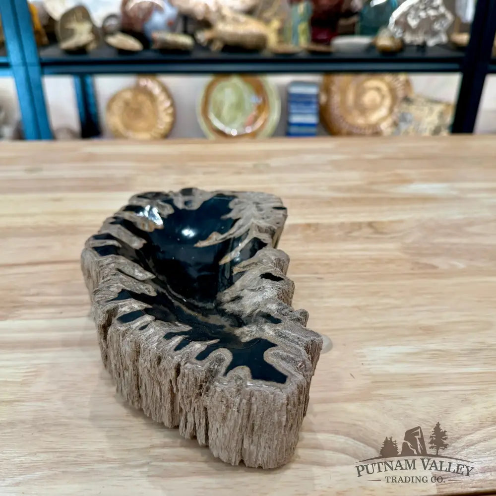 Reserve Indonesian Petrified Wood Rustic Bowl - Bowl