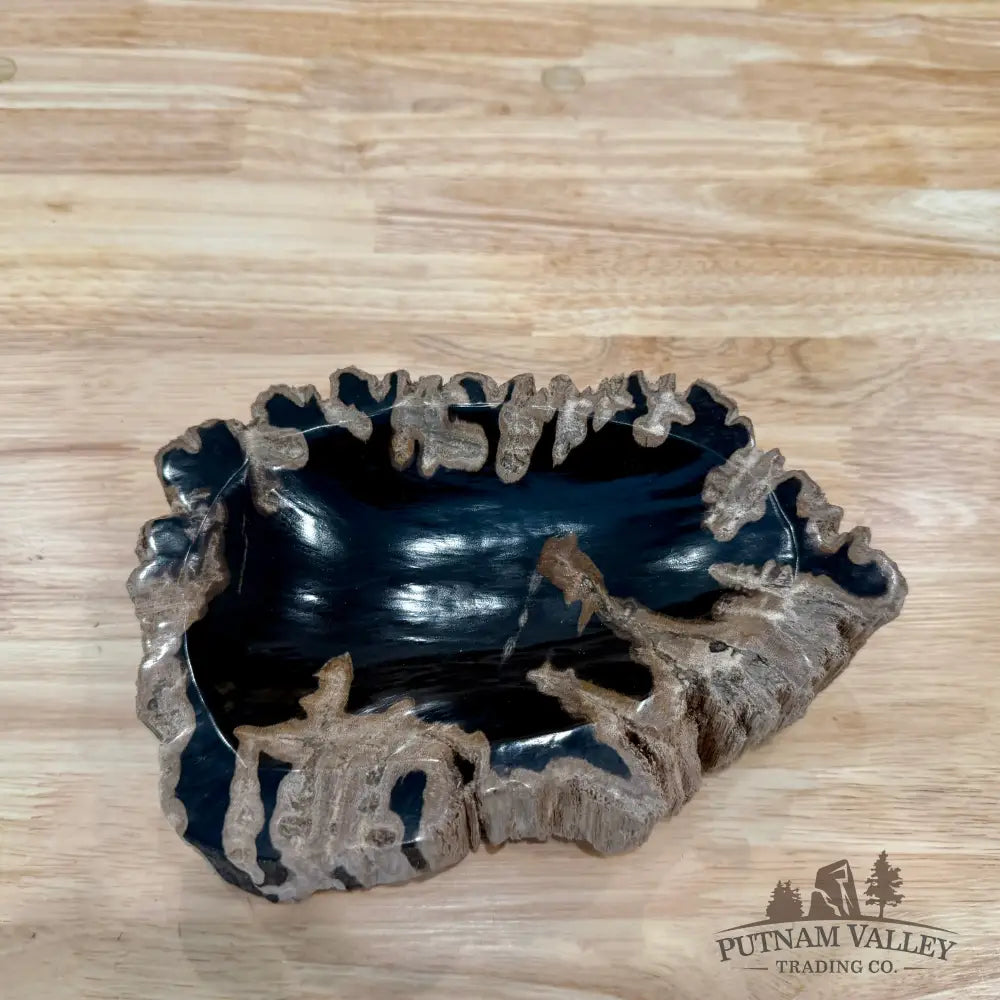 Reserve Indonesian Petrified Wood Rustic Bowl - Bowl