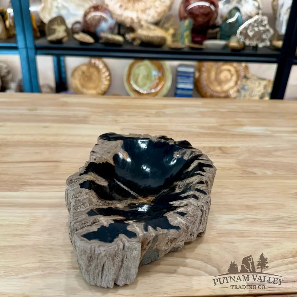 Reserve Indonesian Petrified Wood Rustic Bowl - Bowl
