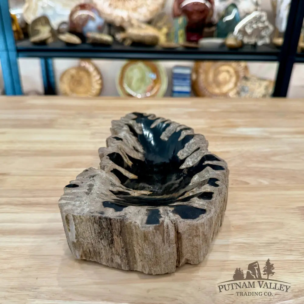 Reserve Indonesian Petrified Wood Rustic Bowl - Bowl