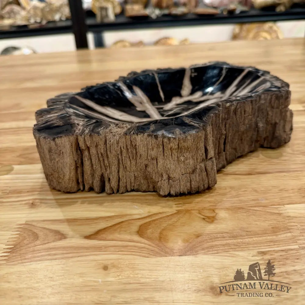 Reserve Indonesian Petrified Wood Rustic Bowl Bowl