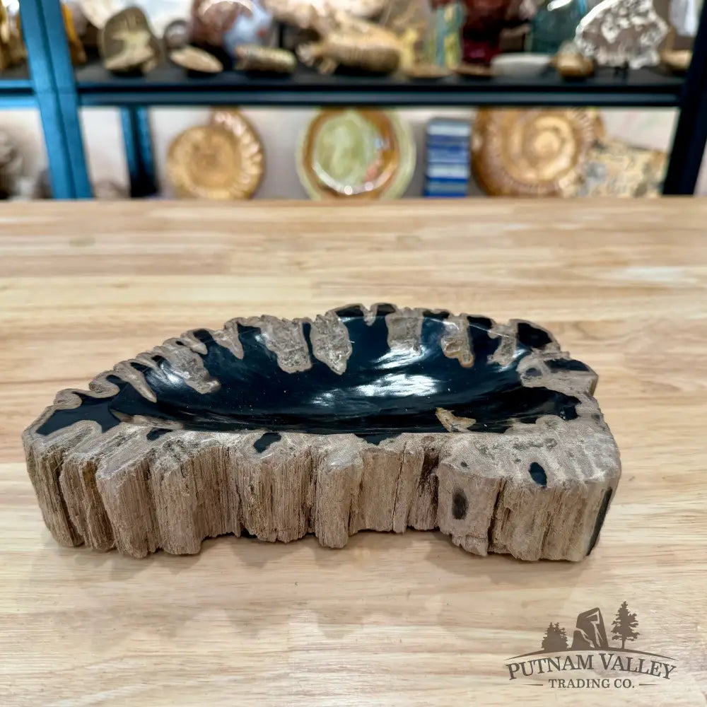 Reserve Indonesian Petrified Wood Rustic Bowl - Bowl