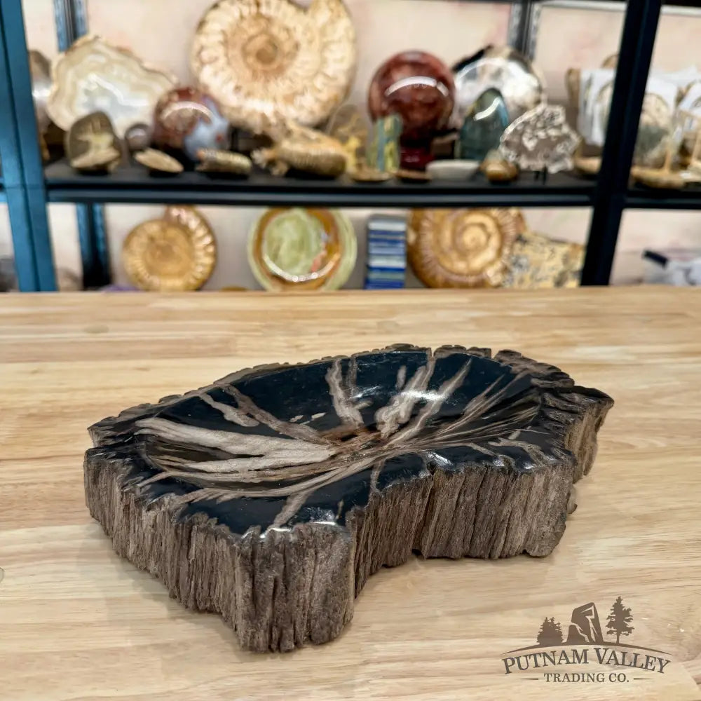 Reserve Indonesian Petrified Wood Rustic Bowl - Bowl