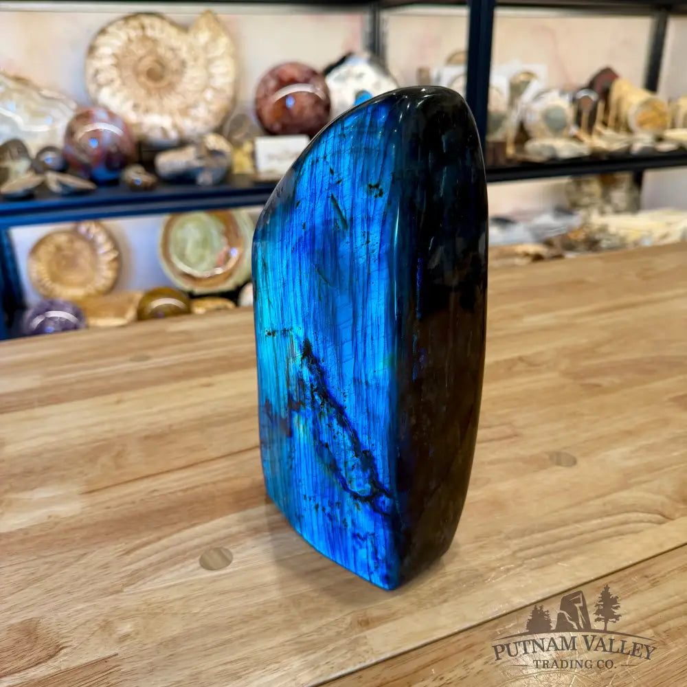 Reserve Labradorite Table Accent 10’’ - Sculpture