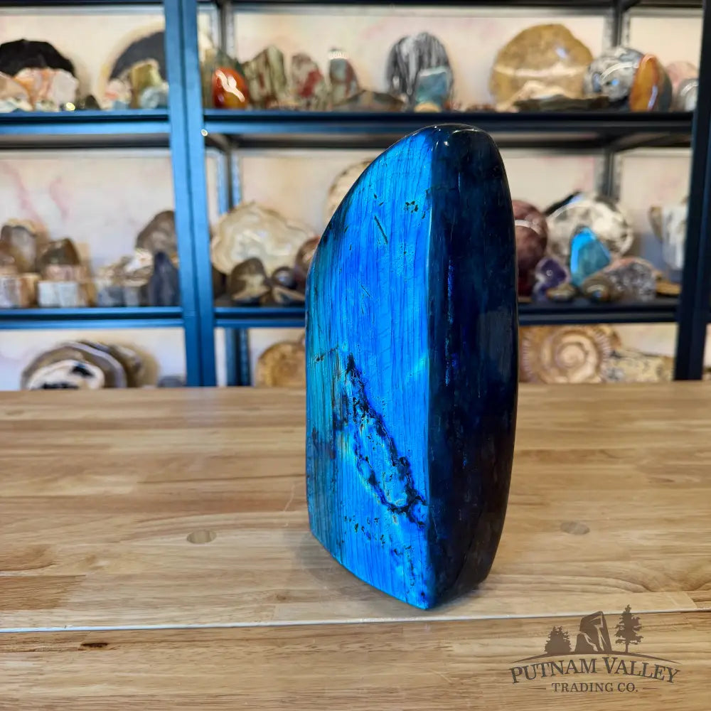 Reserve Labradorite Table Accent 10’’ - Sculpture