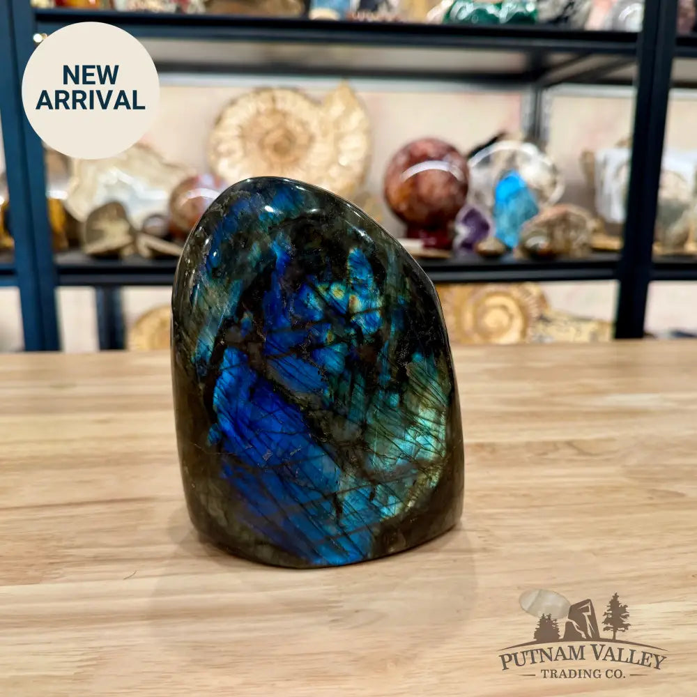 Reserve Labradorite Table Accent 6.18’’ - Sculpture