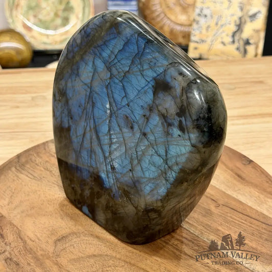 Reserve Labradorite Table Accent 6.85’’ - Free Standing Accent