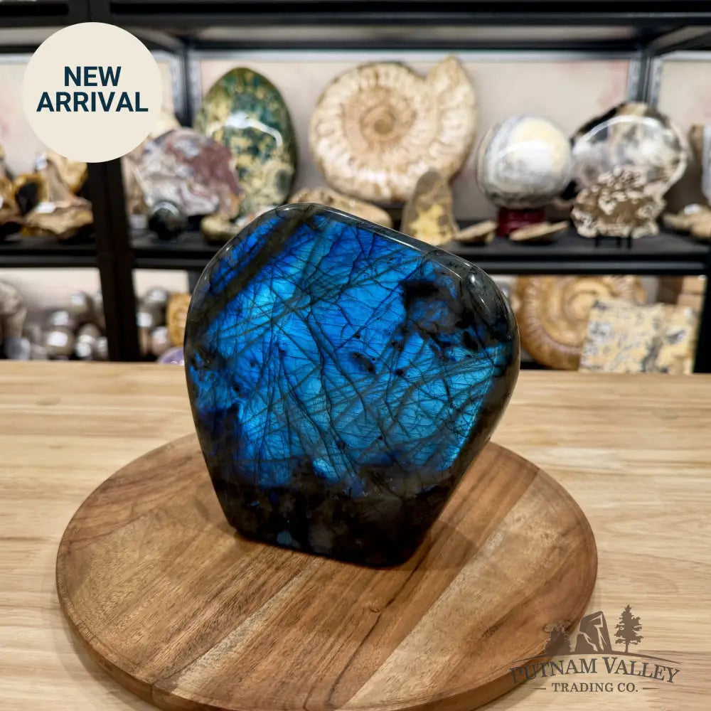 Reserve Labradorite Table Accent 6.85’’ - Free Standing Accent