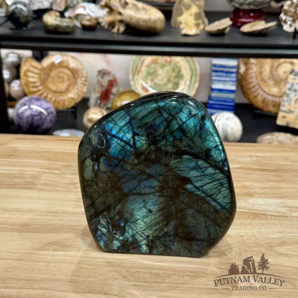 Reserve Labradorite Table Accent 7.03’’ - Free Standing Accent