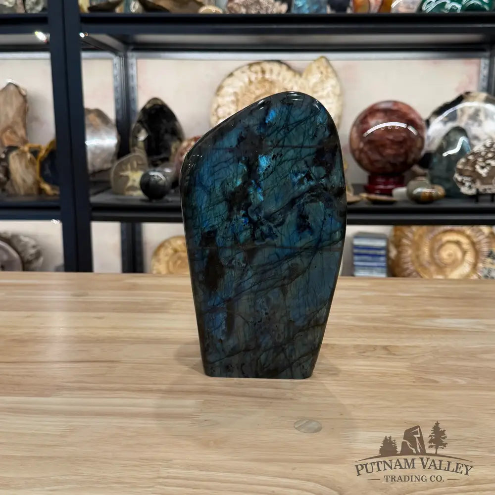 Reserve Labradorite Table Accent 9’’ - Sculpture