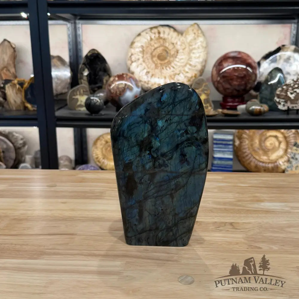 Reserve Labradorite Table Accent 9’’ - Sculpture
