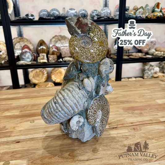 Large Moroccan Ammonite Cluster Sculpture 15’’ Fossil Sculpture