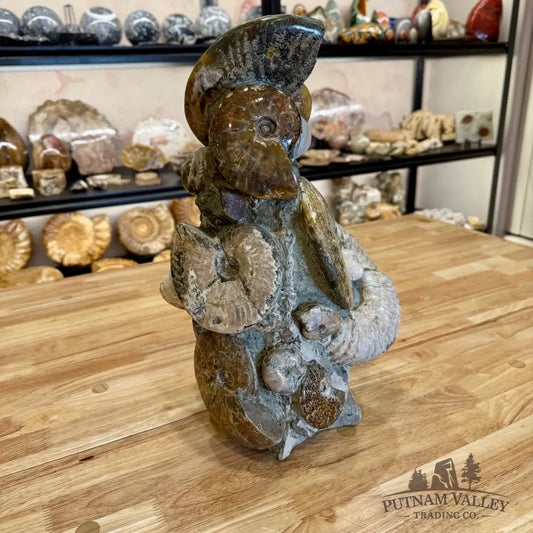 Large Moroccan Ammonite Cluster Sculpture 15’’ Fossil Sculpture