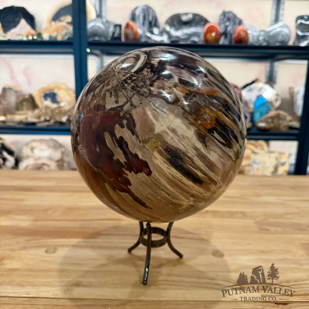 Reserve Hand-Carved Madagascar Petrified Wood Sphere 8.5’’ Sphere