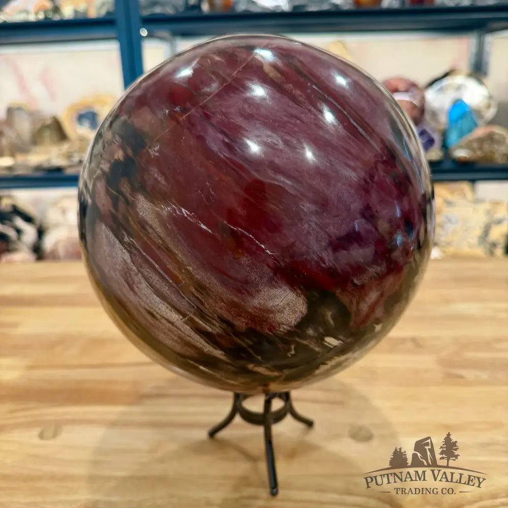 Reserve Hand-Carved Madagascar Petrified Wood Sphere 8.5’’ Sphere