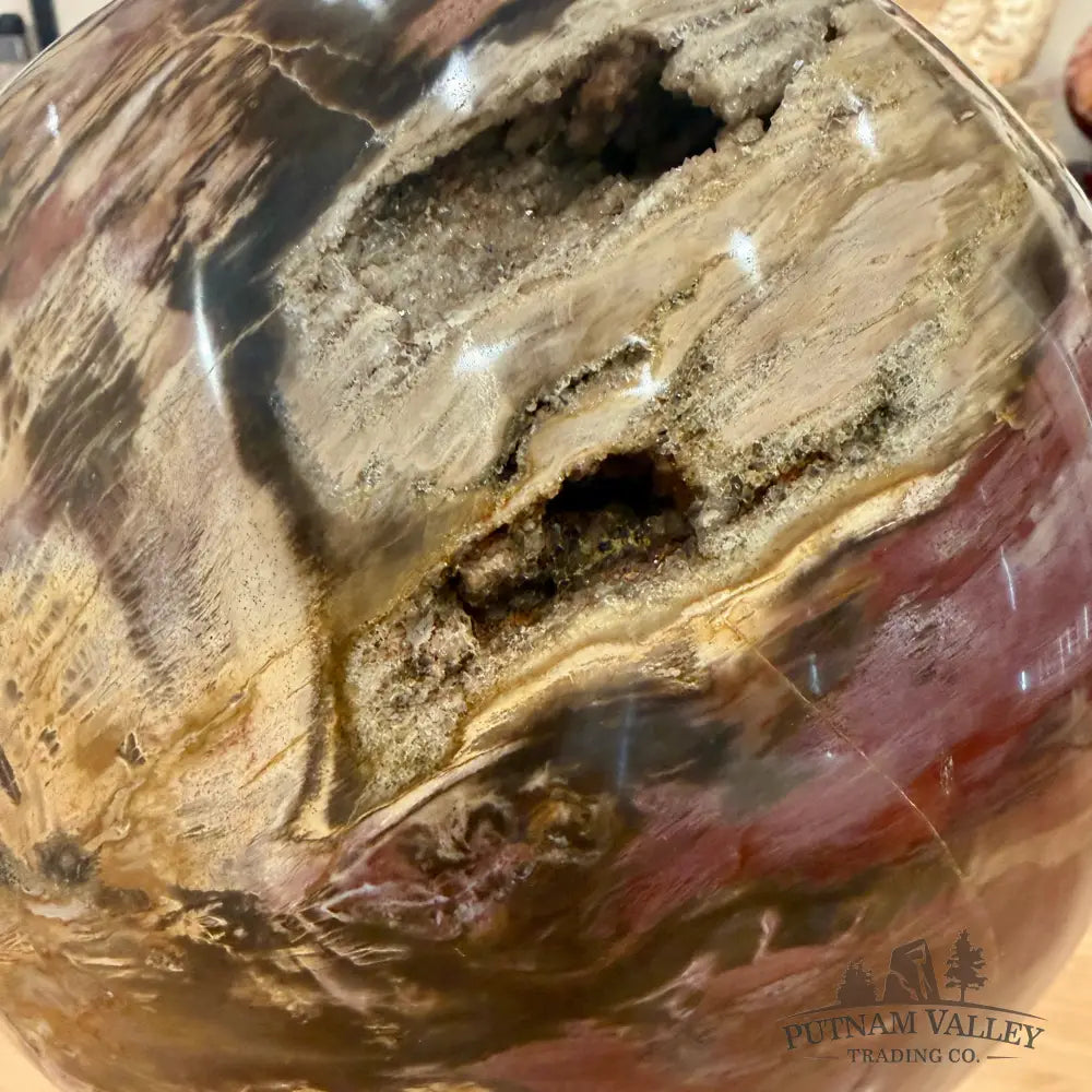 Reserve Hand-Carved Madagascar Petrified Wood Sphere 8.5’’ Sphere