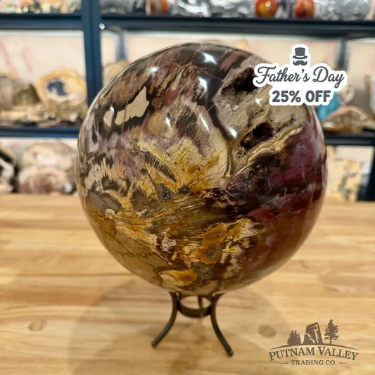Reserve Hand-Carved Madagascar Petrified Wood Sphere 8.5’’ Sphere