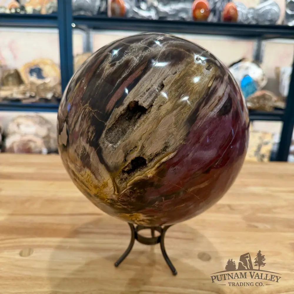 Reserve Hand-Carved Madagascar Petrified Wood Sphere 8.5’’ Sphere