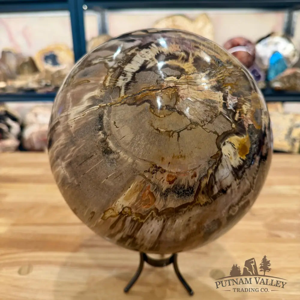 Reserve Hand-Carved Madagascar Petrified Wood Sphere 8.5’’ Sphere