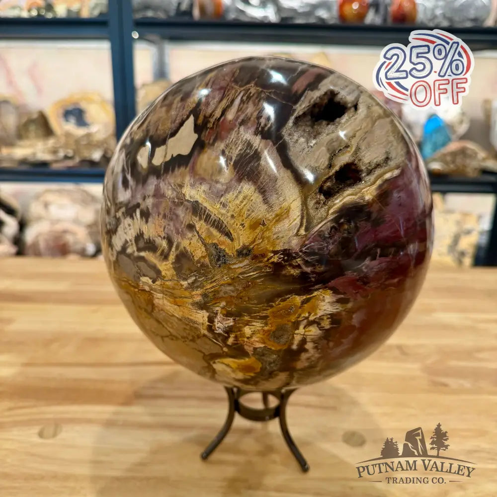 Reserve Hand-Carved Madagascar Petrified Wood Sphere 8.5’’ Sphere