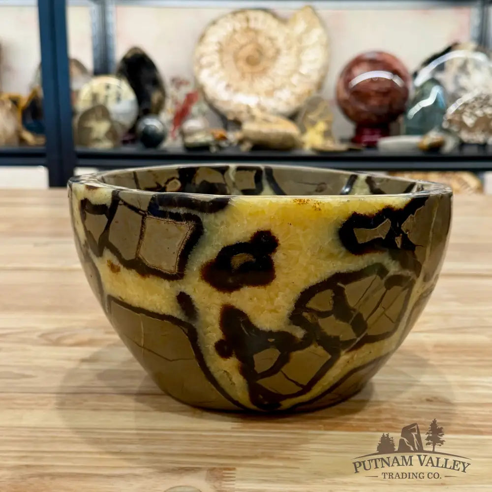 Reserve Madagascar Handcrafted Septarian Statement Bowl 9’’ | 14.14lb - Bowl