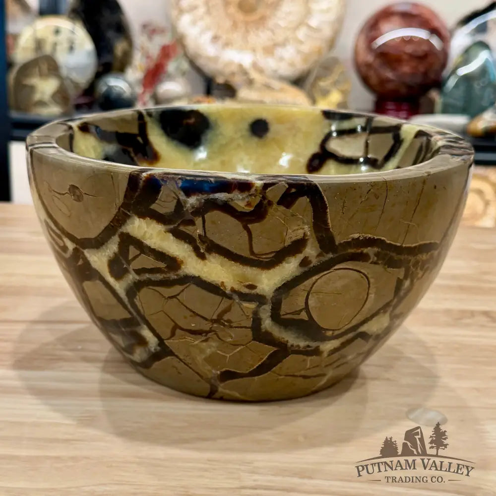 Reserve Madagascar Handcrafted Septarian Statement Bowl 9’’ | 14.14lb - Bowl